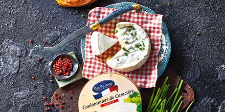 Sir Camembert