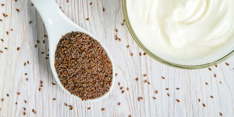 Jogurt