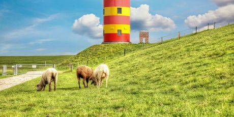 Friesland