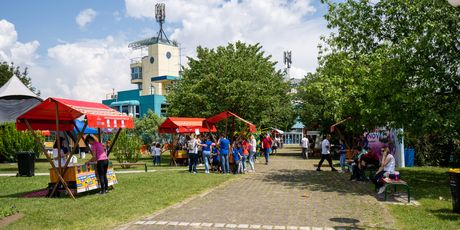 Znanstveni piknik
