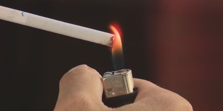 Uoči Svjetskog dana nepušenja u Zagrebu održana edukacija o štetnosti cigareta (Foto: Dnevnik.hr) - 3