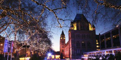 Prirodoslovni muzej, London