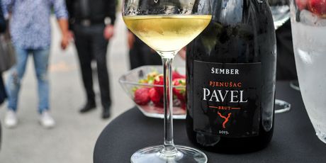 Stigao je Pavel