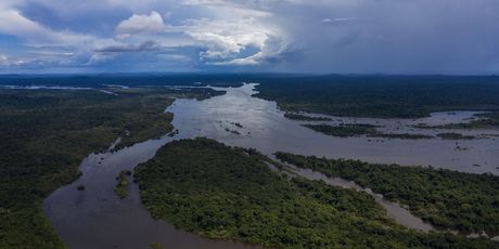 Amazona (Foto: AFP)
