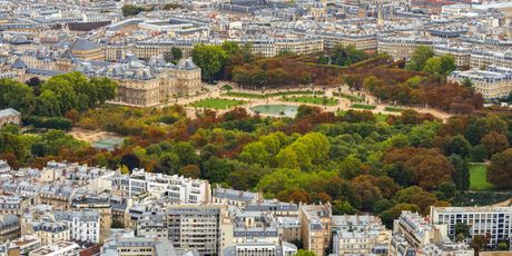 Luksemburški vrt, Pariz