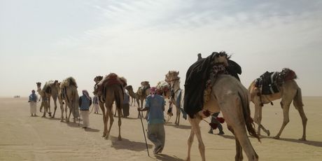 Rub Al Khali - 16