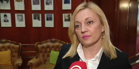 Europarlamentarka Marijana Petir (Foto: Dnevnik.hr)