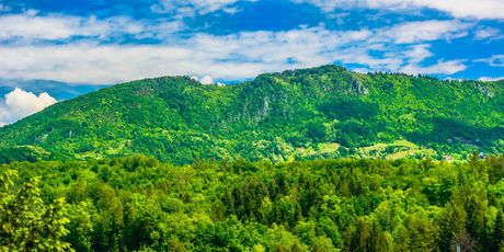 Zagorje