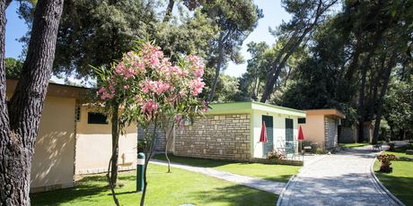 San Antonio Biograd - 1