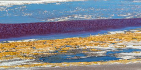 Crvena laguna u Boliviji - 3