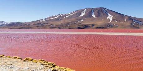 Crvena laguna u Boliviji - 4