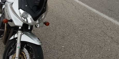Ovce imaju prednost