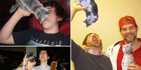 Mačke umjesto alkohola (Foto: izismile.com) - 3