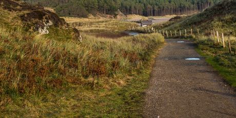 Llanddwyn - 2