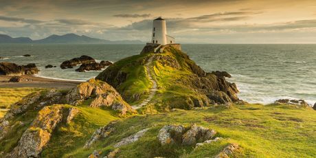 Llandwyn