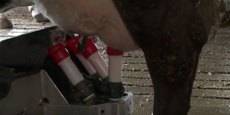 Robot na farmi obitelji Kruljac - 1