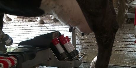 Robot na farmi obitelji Kruljac - 3