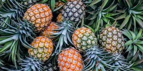 Ananas