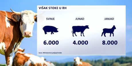 Višak stoke u Hrvatskoj