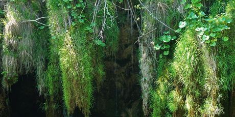 Plitvička jezera - 3
