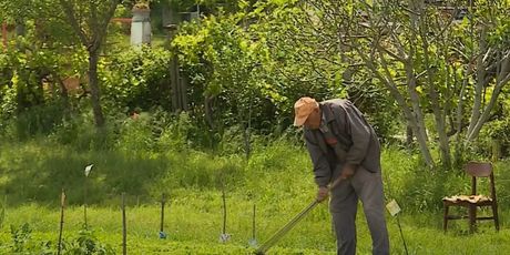 Knin: Stižu birači iz Srbije - 1