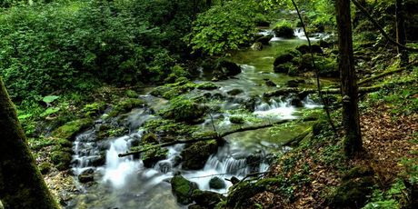 Dolina Slapnice, Žumberak - Samoborsko gorje - 1