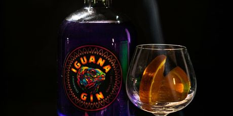 Iguana gin - 2