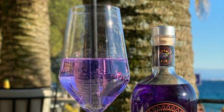 Iguana gin - 3