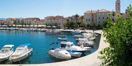 Crno jaje ponude za Dan državnosti - 8