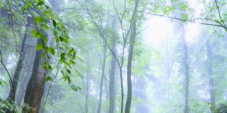 Highlander Medvednica - 7