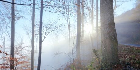 Highlander Medvednica - 9