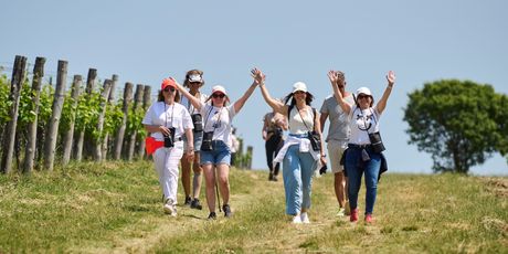 Istria Wine&Walk - 1