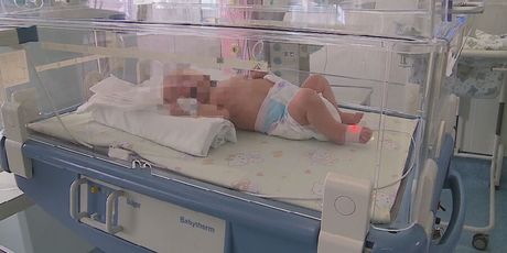 Prva beba s tri roditelja, ilustracija - 1