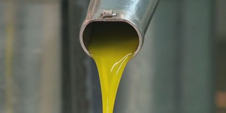 Maslinovo ulje, ilustracija - 4