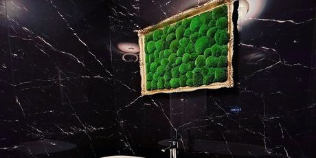 PlantAnt - 4