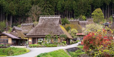 Miyama - 3