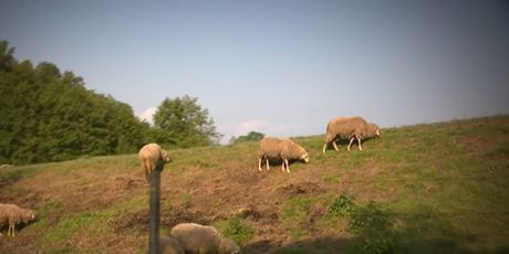 Selo koje ne da svoju zemlju - 3