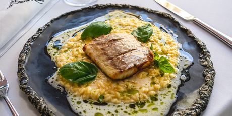 File branicna na rižotu od butternut tikve s umakom od vermuta i usoljenog limuna - Bistro Apetit by Marin Rendić