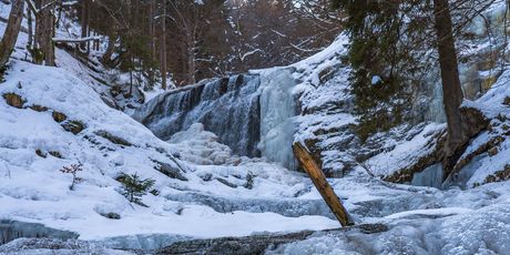 Slapovi Kozice - 7