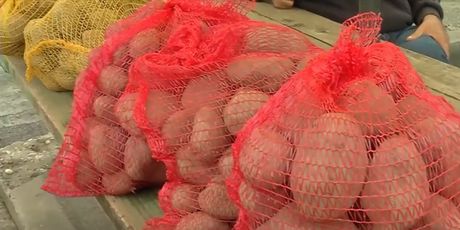 Nestašica krumpira - 1