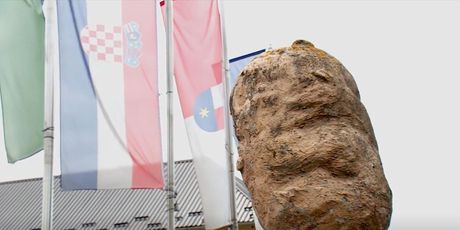 Nestašica krumpira - 2