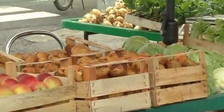 Nestašica krumpira - 3