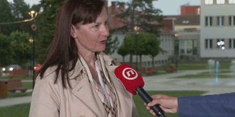 Vesna Vučemilović, Hrvatski suverenisti