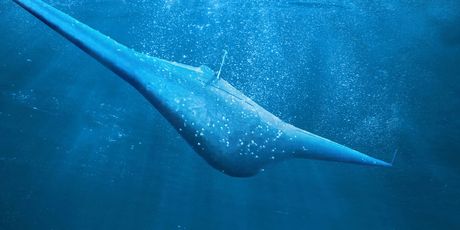Podvodno vozilo be posade Manta Ray tvrtke Northrop Grumman - 2