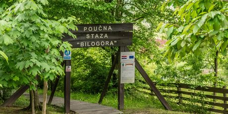 Poučna staza Bilogora