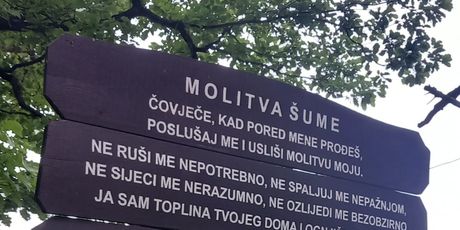 Molitva šume
