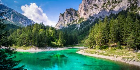 Grüne See