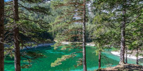 Grüner See - 2