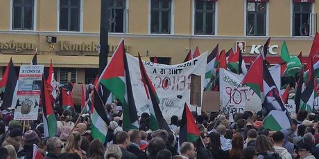 Prosvjed u Malmöu