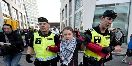Greta Thunberg na pro-palestinskom prosvjedu u Švedskoj - 3